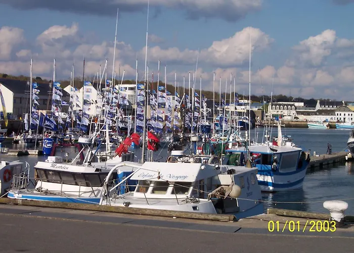 Hôtel accueillant les animaux: Hotel Du Port